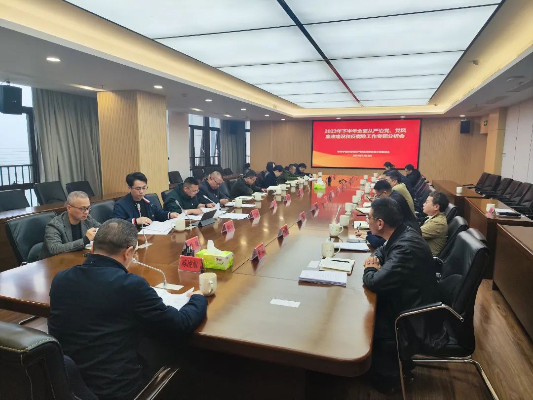 寧德市國投公司召開2023年下半年全面從嚴(yán)治黨、黨風(fēng)廉政建設(shè)和反腐敗工作專題分析會